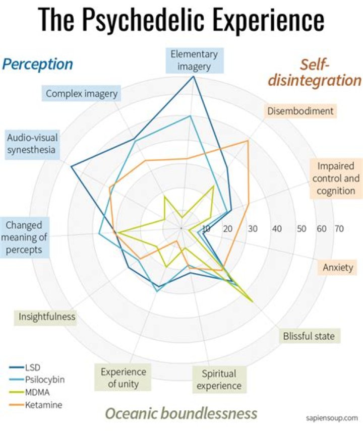Exploring The Complexities Of Age